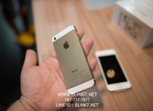 iPhone5s Gold VS White